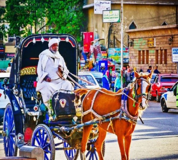 Private Horse & Carriage City Tour with Hotel Pickup